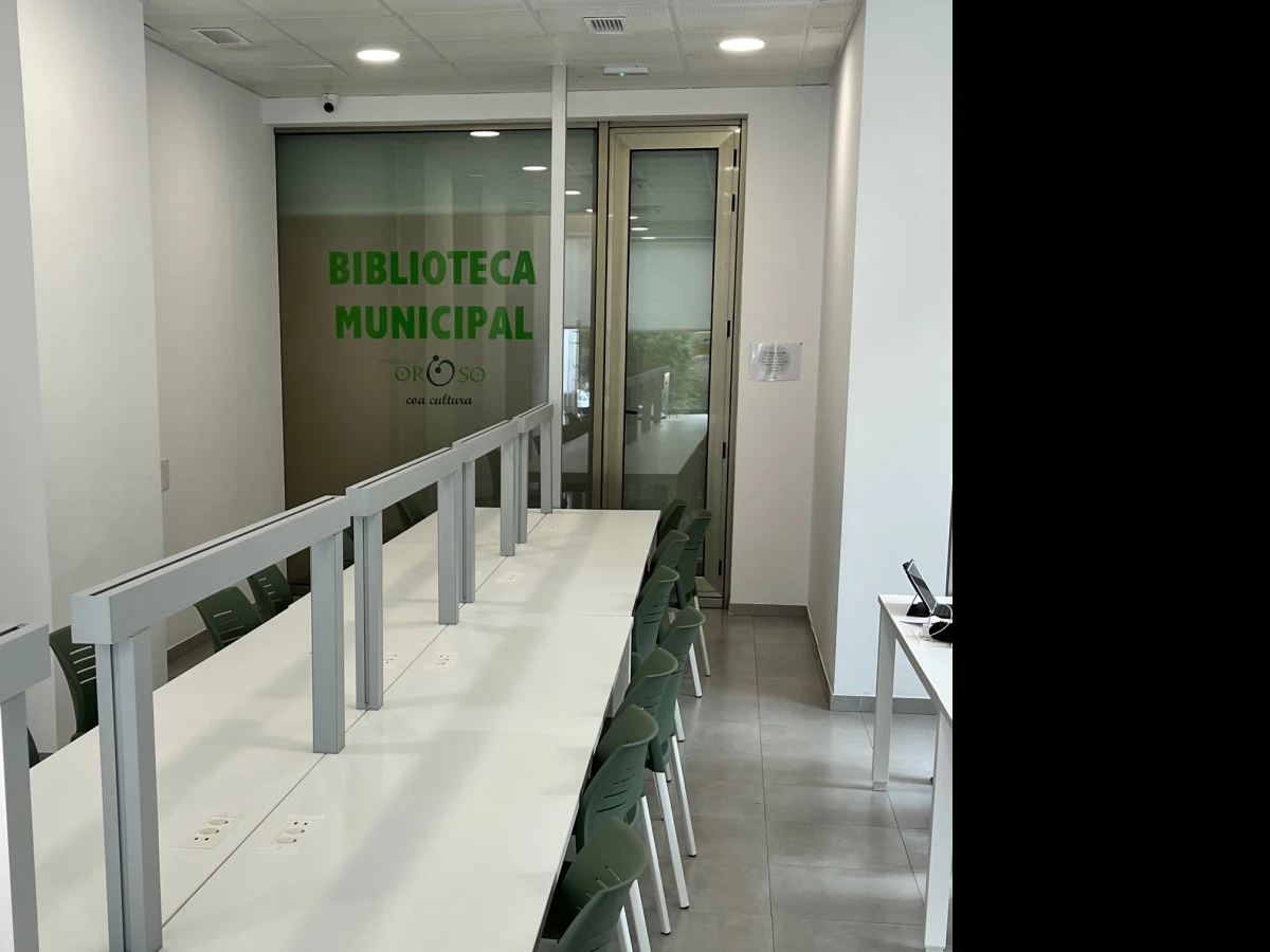 Biblioteca intelixente