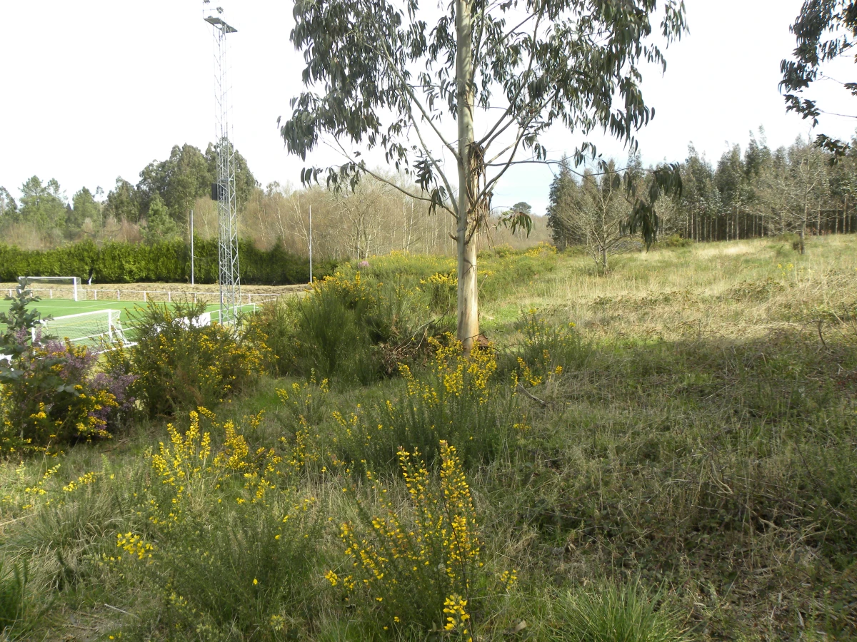 Nave almacenmaento e comercialización
