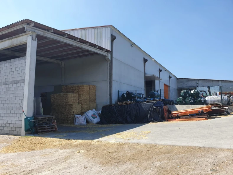 DEMOLICION E CONSTRUCION DE NAVE