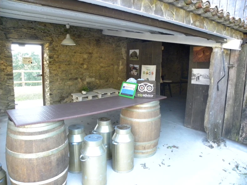 MELLORAS TECNOLOXICAS NA EMPRESA