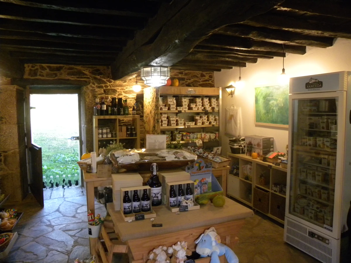 Melloras tecnolóxicas na empresa