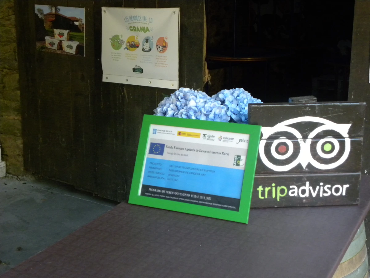 Melloras tecnolóxicas na empresa