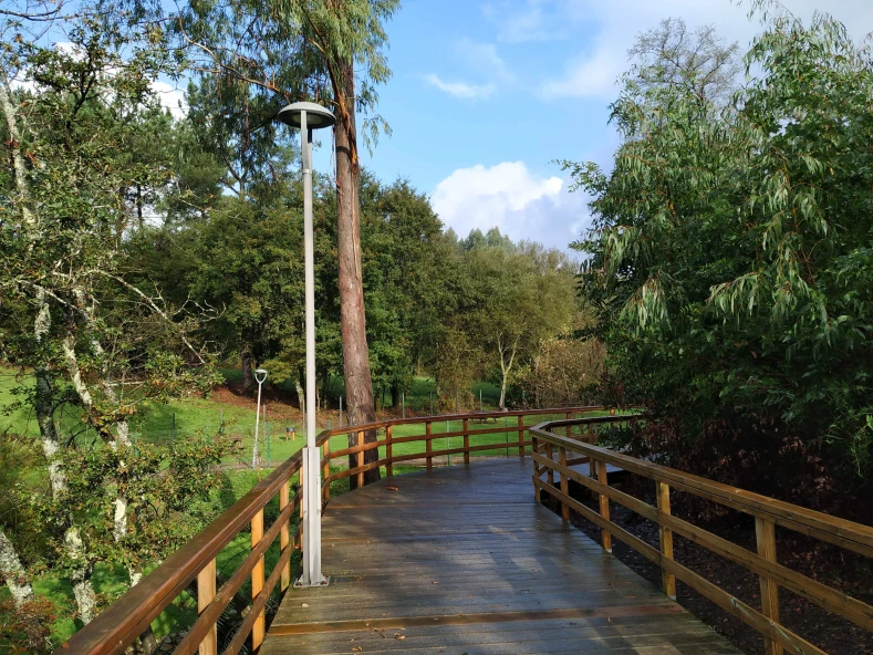 CREACIÓN E HOMOLOGACIÓN DO ROTEIRO DE SENDEIRISMO RÍO MERCURÍN