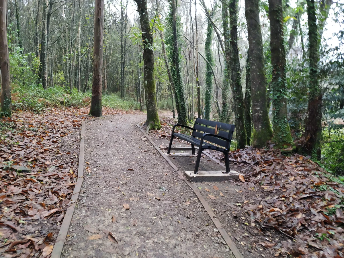 Roteiro de sendeirismo río Mercurín