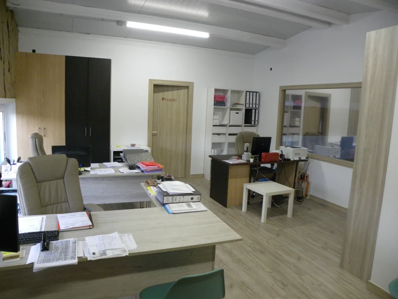 MELLORA E DIVERSIFICACIÓN DA EMPRESA PARA REACTIVAR A ACTIVIDADE ECONÓMICA DO ENTORNO RURAL DA SILVA