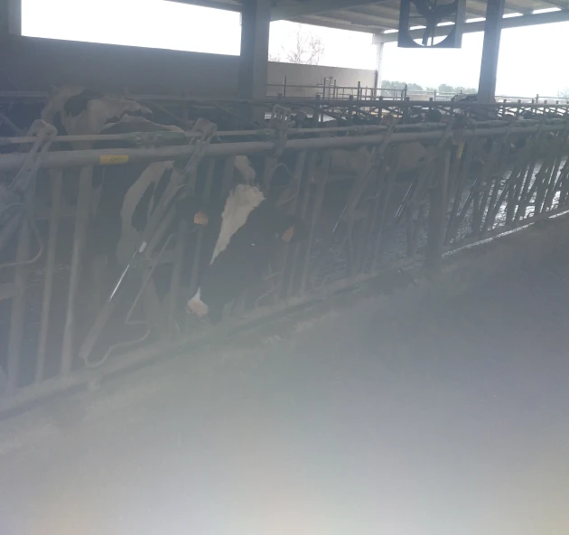 INVESTIMENTOS EN MATERIA DE EFICIENCIA ENERXETICA