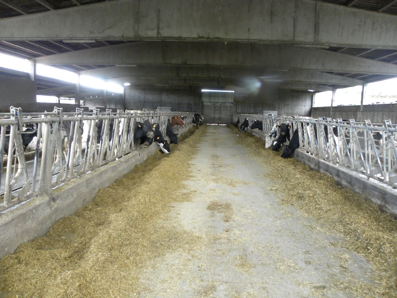 INVESTIMENTOS PARA EFICIENCIA ENERXETICA EN VACUN DE LEITE