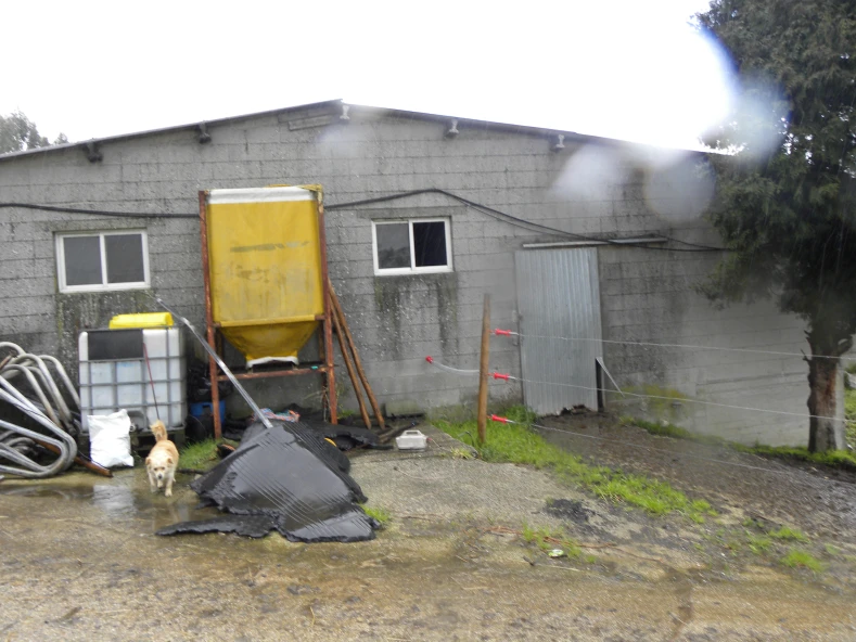 GRANXA AUTOSUFICIENTE CON PLACAS SOLARES FOTOVOLTAICAS E ORDEÑO MEDIANTE ROBOT
