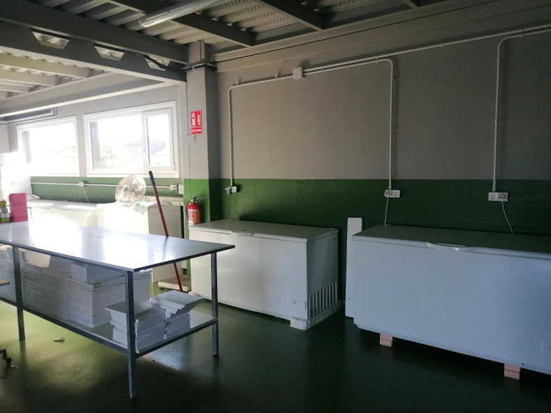 ADQUISICION DE ABATIDOR DE TEMPERATURA 