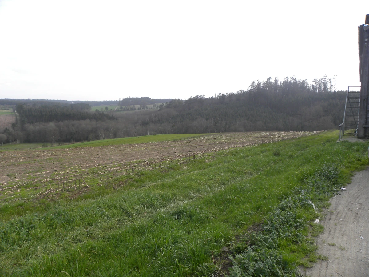 Construcción de nave destinada o comercio de productos fitosanitarios