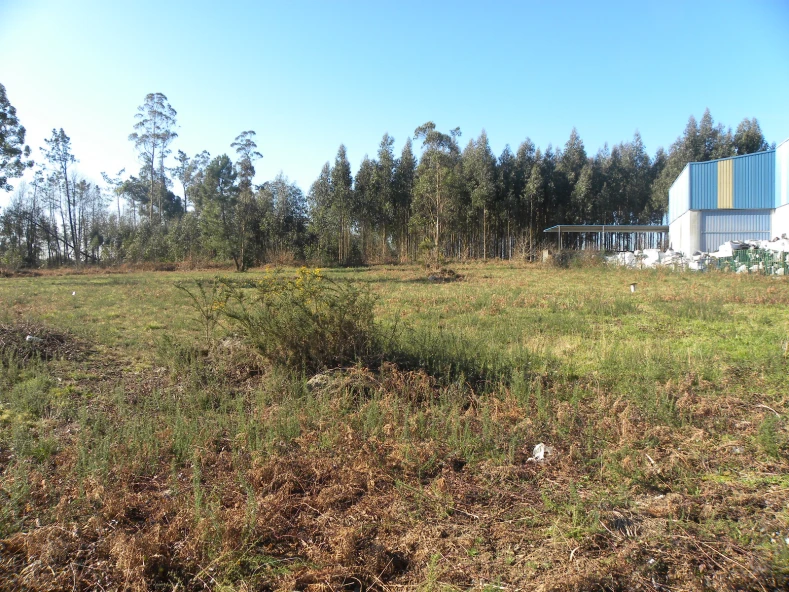 AMPLIACION E TRASLADO DE EMPRESA DE CONSTRUCCION E OBRAS