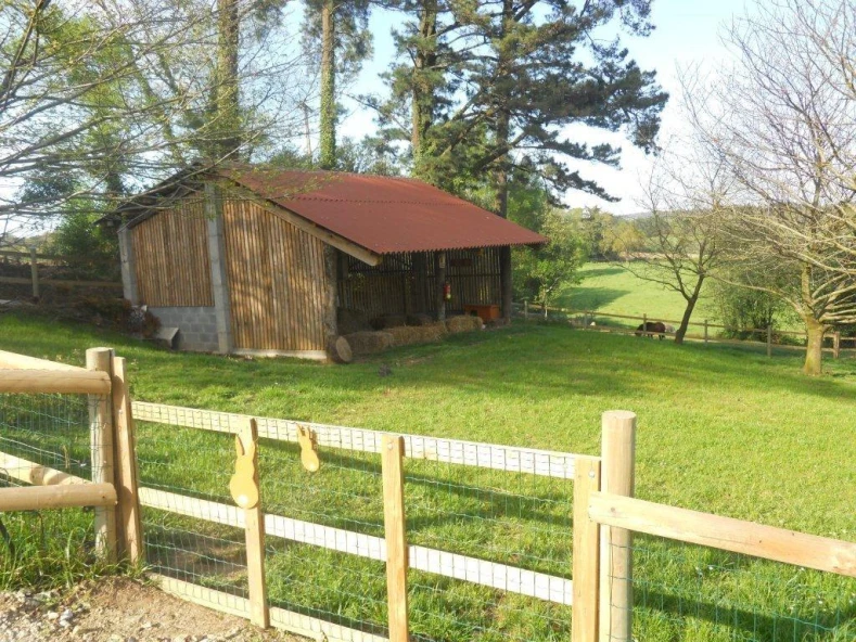 Implantacion de servizos educativos en SAT.