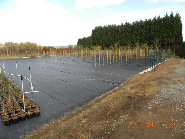 Diversificacion da produccion e mellora da eficiencia productiva e enerxetica do viveiro