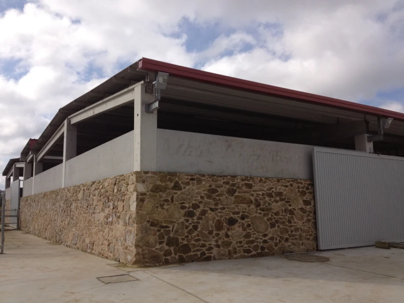 Mellora de granxa de gando vacun para a produccion de carne.