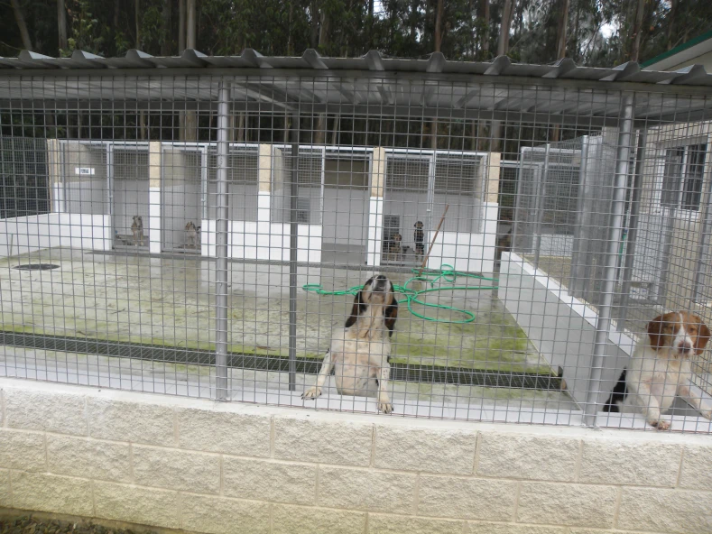 Ampliacion e mellora do centro de recollida de animais abandonados