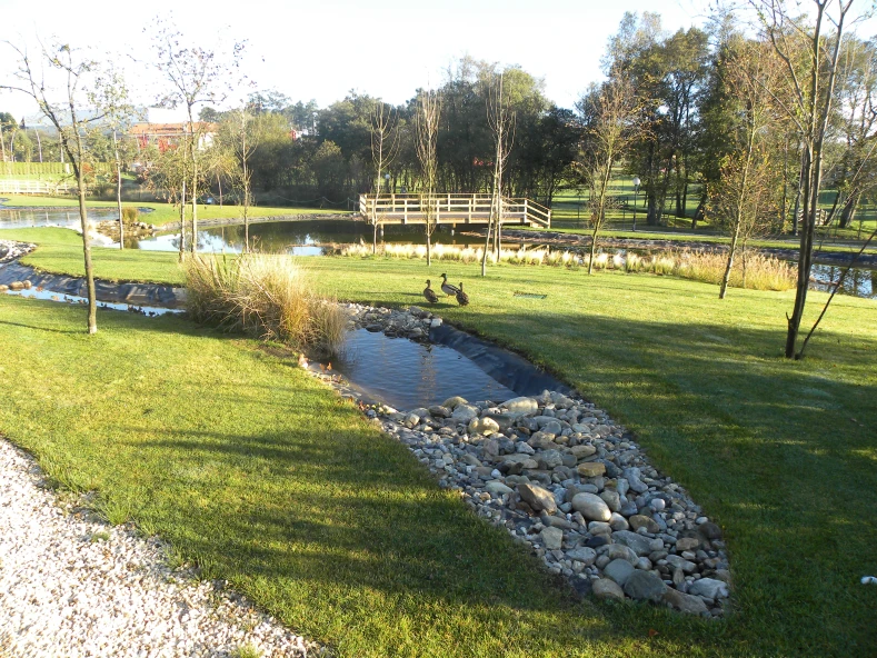 Creacion de lagoas e adecuacion do seu entorno no Xardin Botanico de Cerceda