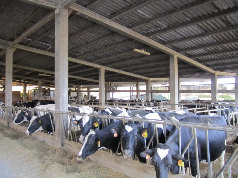 Recuperacion de variedades tradicionais en Sociedade Agraria de Transformacion.
