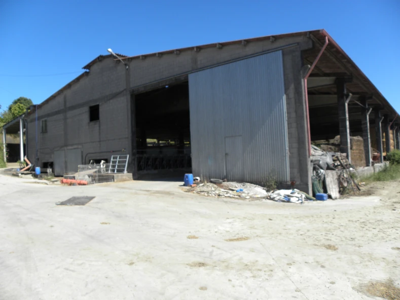 Adquisicion de maquinaria de ultima tecnoloxia e introduccion de novas tecnicas de produccion