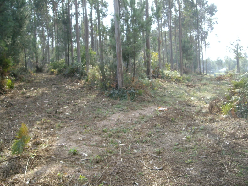 Ampliacion taller de Carpinteria de aluminio y PVC.