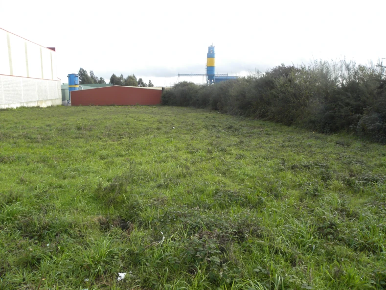 Planta de primeira transformacion de productos carnicos