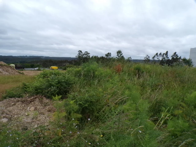 AMPLIACION DE CAPACIDAD PRODUCTIVA MEDIANTE NAVE PARA TALLER MECANICO