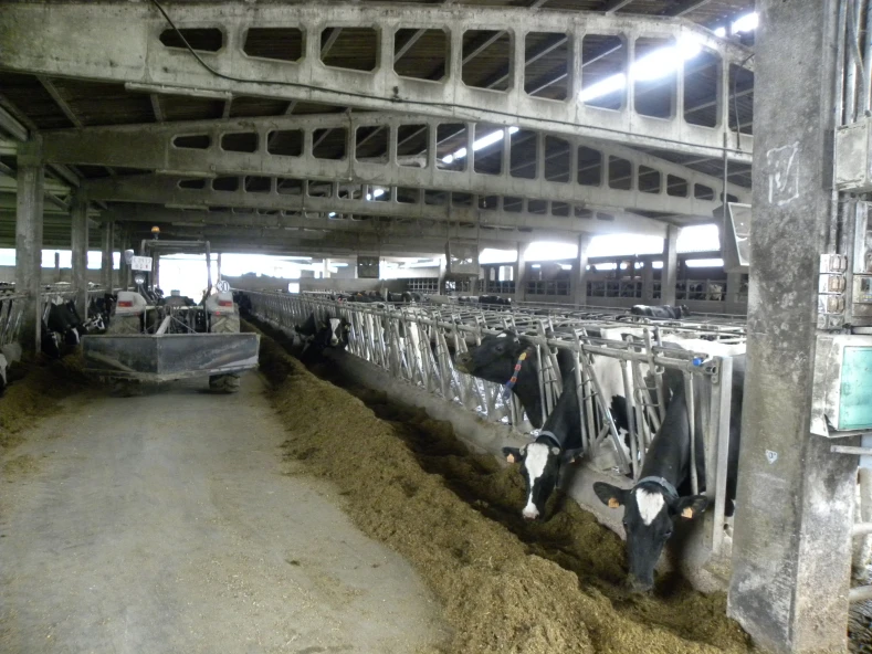 MODERNIZACION E MELLORA DO PROCESO PRODUTIVO DE GRANXA DE GANDO BOVINO