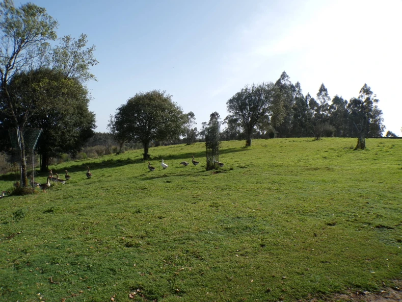 HOTEL RURAL EN ORDES